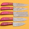 Damascus Chef Knives Handmade 5 Pc Dollar Wood Handle Set 3
