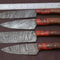 Artisan Handmade Damascus Steel 4Pc Kitchen Knife Collection 0