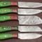 Artisan Handmade Damascus Steel 5Pc Kitchen Knife Collection 0