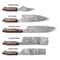 Damascus Steel Forged Kitchen Knives 5 Pc Handmade Chef Set 3