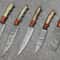 Forged Damascus Steel Chef Knives 5 Piece Handmade Kitchen Set 0