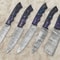 Premium Handmade Damascus Chef Knife Set Of 5 With Wood Handles 0
