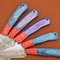 Custom Handmade Damascus Steel Chef Knife Set 5 Pc Kitchen Tools 3