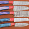 Custom Handmade Damascus Steel Chef Knife Set 5 Pc Kitchen Tools 1