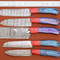 Custom Handmade Damascus Steel Chef Knife Set 5 Pc Kitchen Tools 0
