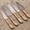 Custom Damascus Steel Chef Knife Set For Professional Kitchens 0