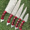 Rosewood Damascus Steel Chef Knife Set Handmade 5Piece Knives 2