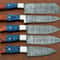Handmade Damascus Steel 5Piece Chef Knife Set With Wood Handle Professional Kitchen Knives Gift Fo 3
