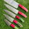 5 PCS Handmade Damascus Steel Chef Knives With Wooden Handles 0