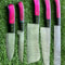Elegant Handmade Damascus Steel Kitchen Knife Set 5 PCS 0