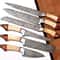 Professional Kitchen Knife Set 6PCS Damascus Style Blades With Wood Handles 1