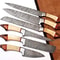 Professional Kitchen Knife Set 6PCS Damascus Style Blades With Wood Handles 1