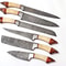Professional Kitchen Knife Set 6PCS Damascus Style Blades With Wood Handles 0