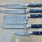 Handmade 5 Pcs Damascus Steel Chef Knife Set With Wood Handles 3