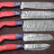 Handmade Damascus Kitchen Knife Set 5Piece Chef Knives With Pakka Wood 0