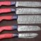 Handmade Damascus Kitchen Knife Set 5Piece Chef Knives With Pakka Wood 0