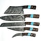 Custom Handmade Damascus Steel Chef Knife Set 5Piece Turquoise Wood Handle 3