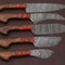 Handmade Damascus Steel Chef Knife Set 5Piece Kitchen Knives 0
