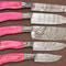 Premium Handmade Damascus Chef Knife Set 5 Knives With Pakka Wood 0