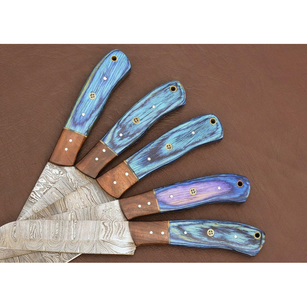 Professional Damascus Kitchen Knife Set 5 Handmade Chef Knives 2