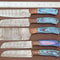Professional Damascus Kitchen Knife Set 5 Handmade Chef Knives 1