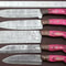 Unique Damascus Steel 5 Piece Kitchen Knife Set With Pakka Wood 1