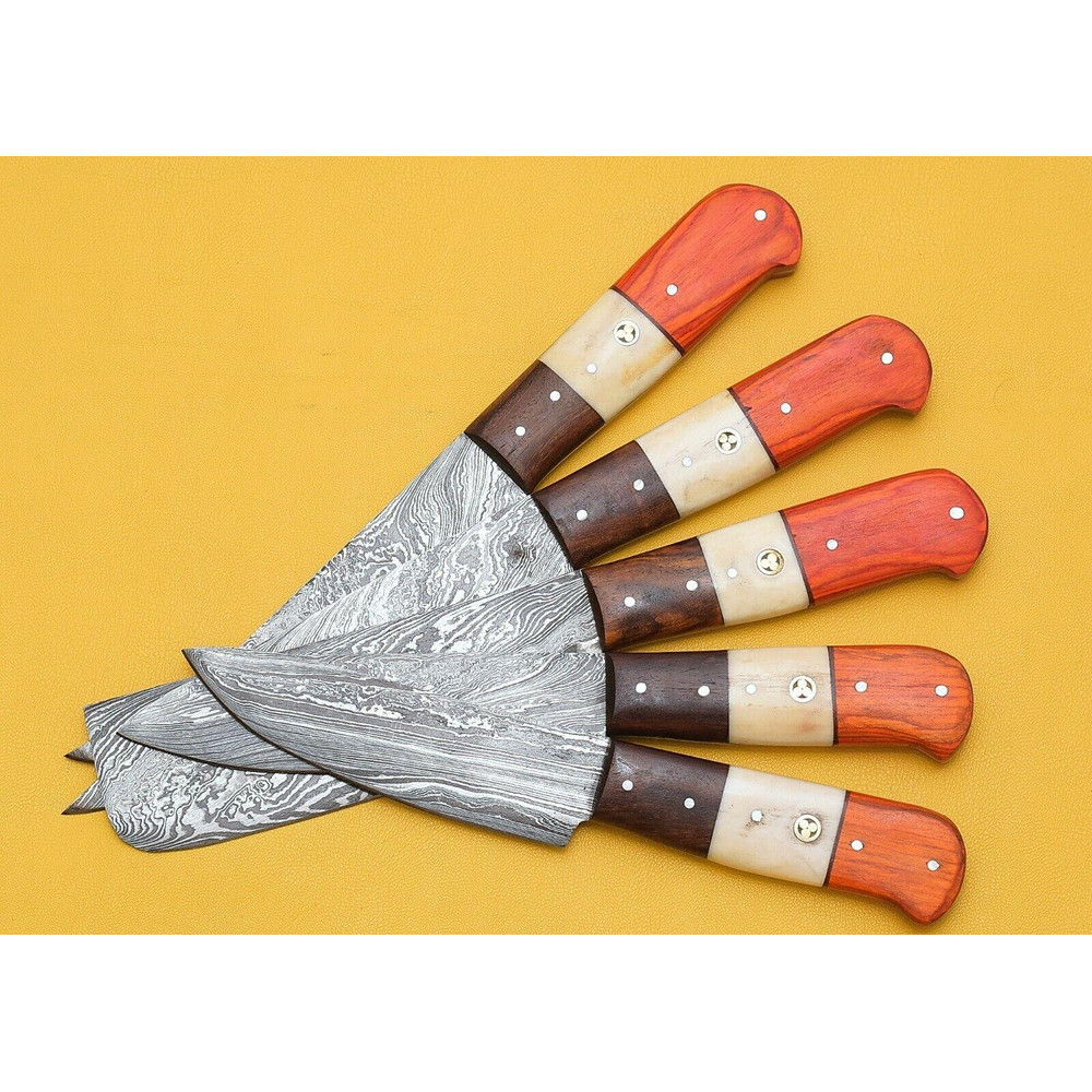 Luxury Handmade Damascus Steel Chef Knife Set 5 Pcs Pakka Handle 1