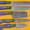 Custom Forged Damascus Steel Kitchen Knives Set Of 5 Pakka Wood 0