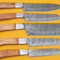 Handmade Damascus Chef Knife Set Of 5 With Popular Wood Handle 0