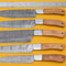 Handmade Damascus Chef Knife Set Of 5 With Popular Wood Handle 1