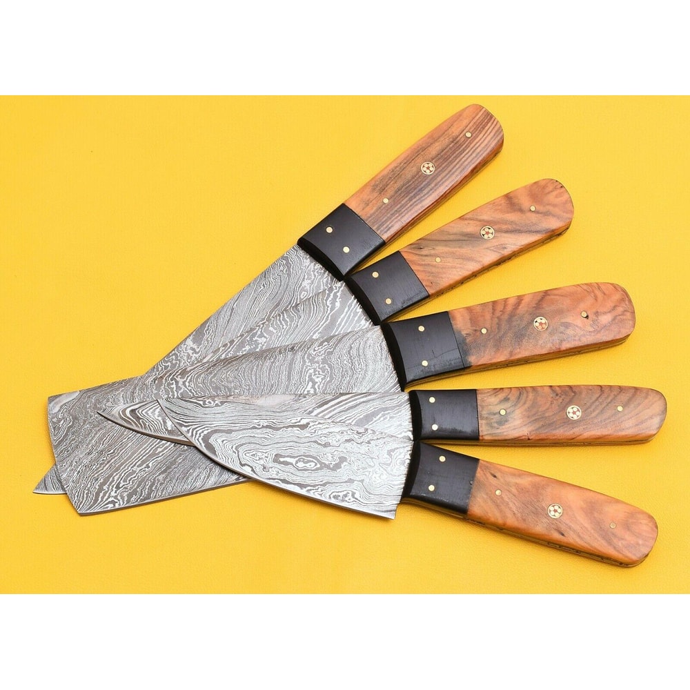 5Piece Damascus Steel Kitchen Chef Knives With Popular Handles 2