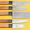 5Piece Damascus Steel Kitchen Chef Knives With Popular Handles 0