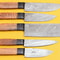 5Piece Damascus Steel Kitchen Chef Knives With Popular Handles 0