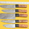 5Piece Damascus Steel Kitchen Chef Knives With Popular Handles 1