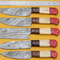 Custom Handmade Damascus Chef Knives Set – Popular Wood Handle