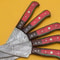 Razor Sharp Handmade Damascus Chef Knives 5Piece Kitchen Set 2