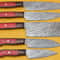 Razor Sharp Handmade Damascus Chef Knives 5Piece Kitchen Set 0