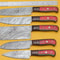 Razor Sharp Handmade Damascus Chef Knives 5Piece Kitchen Set 1
