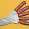 Exclusive Handmade Damascus Kitchen Knives Set Of 5 Premium Quality 2
