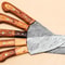 Luxury Handmade Damascus Kitchen Knife Collection 5Piece Set 3