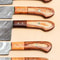 Luxury Handmade Damascus Kitchen Knife Collection 5Piece Set 2
