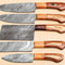Luxury Handmade Damascus Kitchen Knife Collection 5Piece Set 0