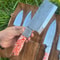5 PCS Handmade D2 Steel Chef Knife Set With Resin Handle Leather Bag 3