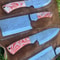 5 PCS Handmade D2 Steel Chef Knife Set With Resin Handle Leather Bag 5