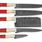 Handmade Damascus Steel Chef Knife Set Professional Kitchen Knives 0