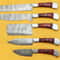 Premium Damascus Chef Knives Set With Pakka Wood Handle 1