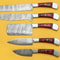 Premium Damascus Chef Knives Set With Pakka Wood Handle 1