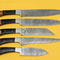 Handmade Damascus Chef Kitchen 5Piece Knife Set With Horn Wood Handle 2