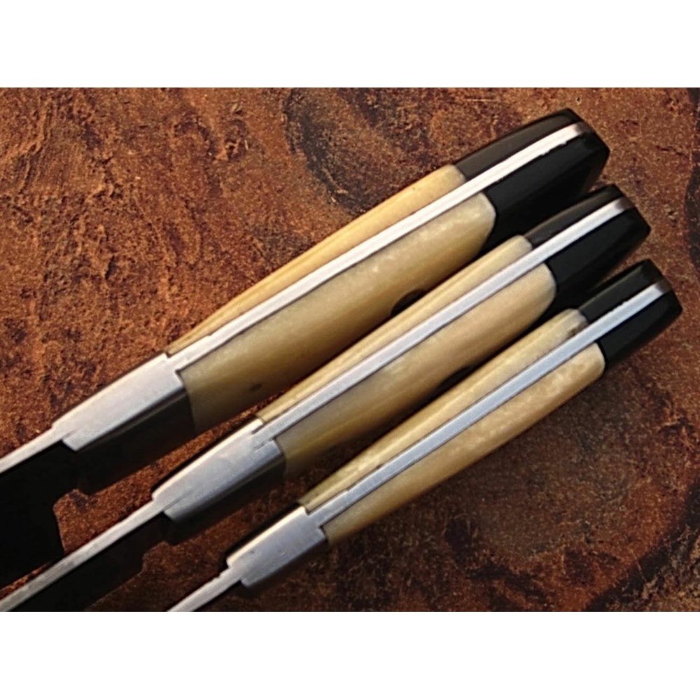 Custom Handmade Damascus Steel Kitchen Knife Set Bone Horn Handle 3