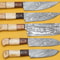Handmade Damascus Steel 5Piece Kitchen Chef Knife Set With Bone Handle 2